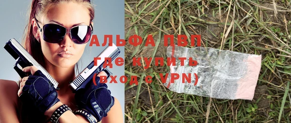 прущие грибы Сосновоборск