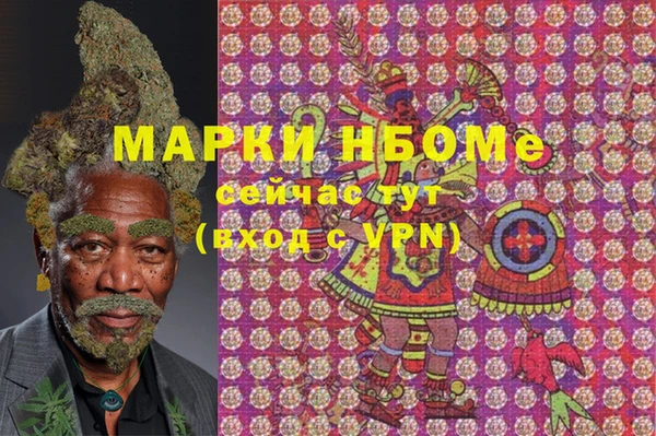 стаф Балахна