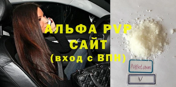 шишки Арсеньев