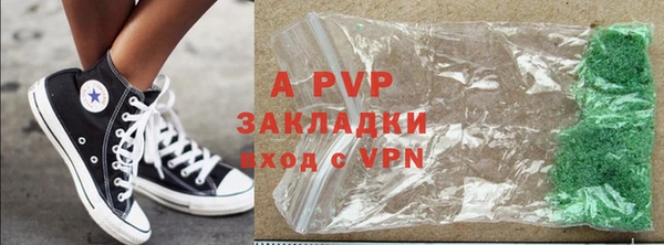 шишки Арсеньев