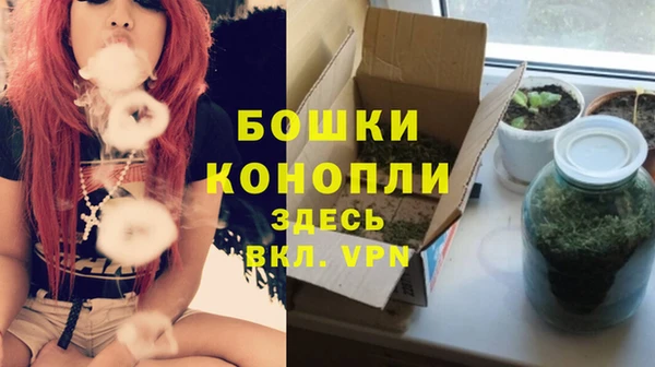 стаф Балахна