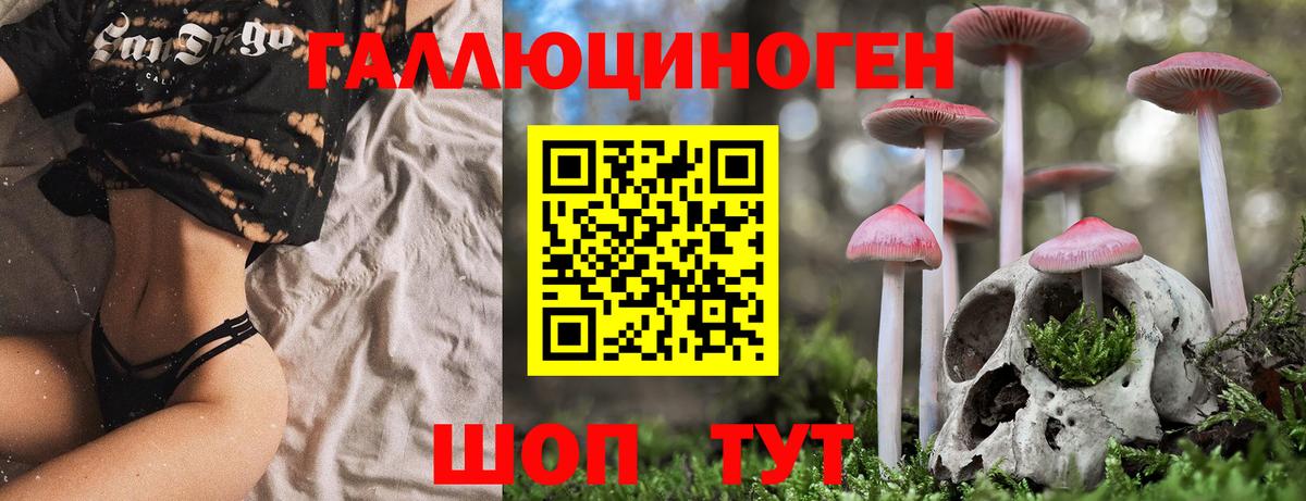 Псилоцибиновые грибы Cubensis Можга