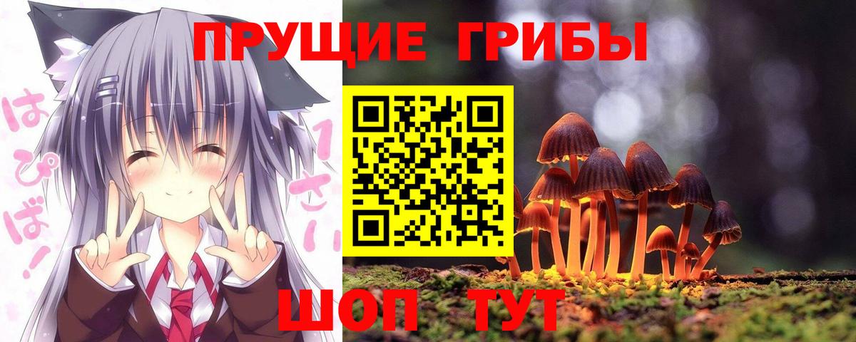 Галлюциногенные грибы Cubensis  Галлюциногенные грибы ЛСД  Можга  Вход с VPN 